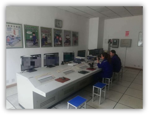 The Central Control Room of Glyoxal and Glyoxylic acid 